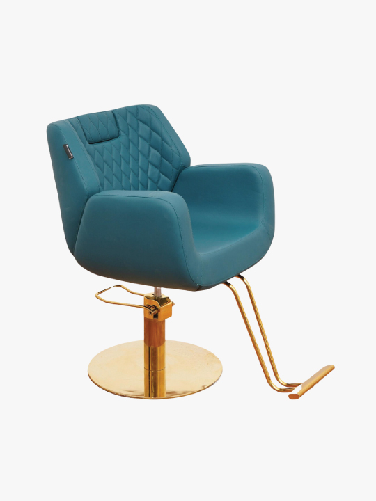 Professional salon chair,cosmoporto