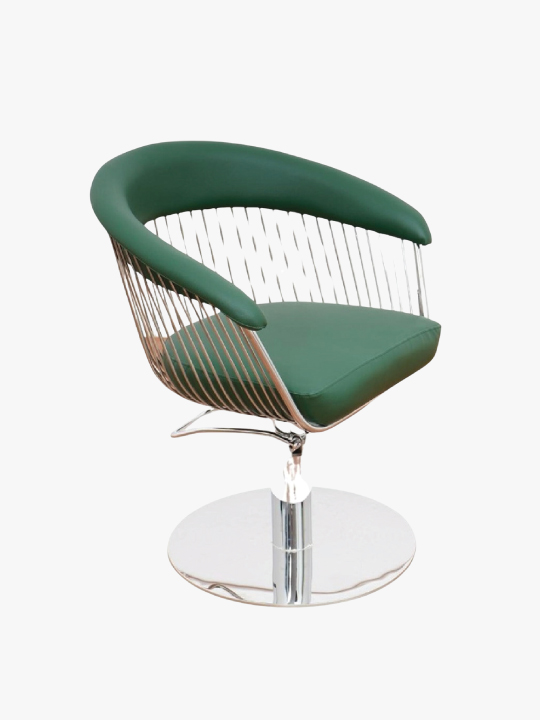 Professional salon chair,cosmoporto
