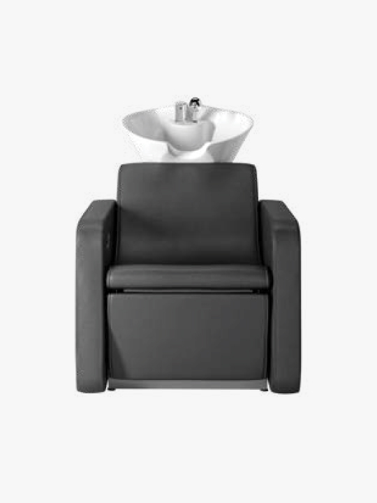 Swan wash unit, cosmoporto